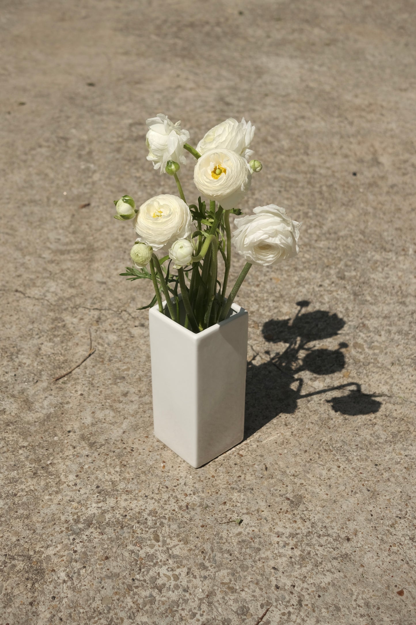vase