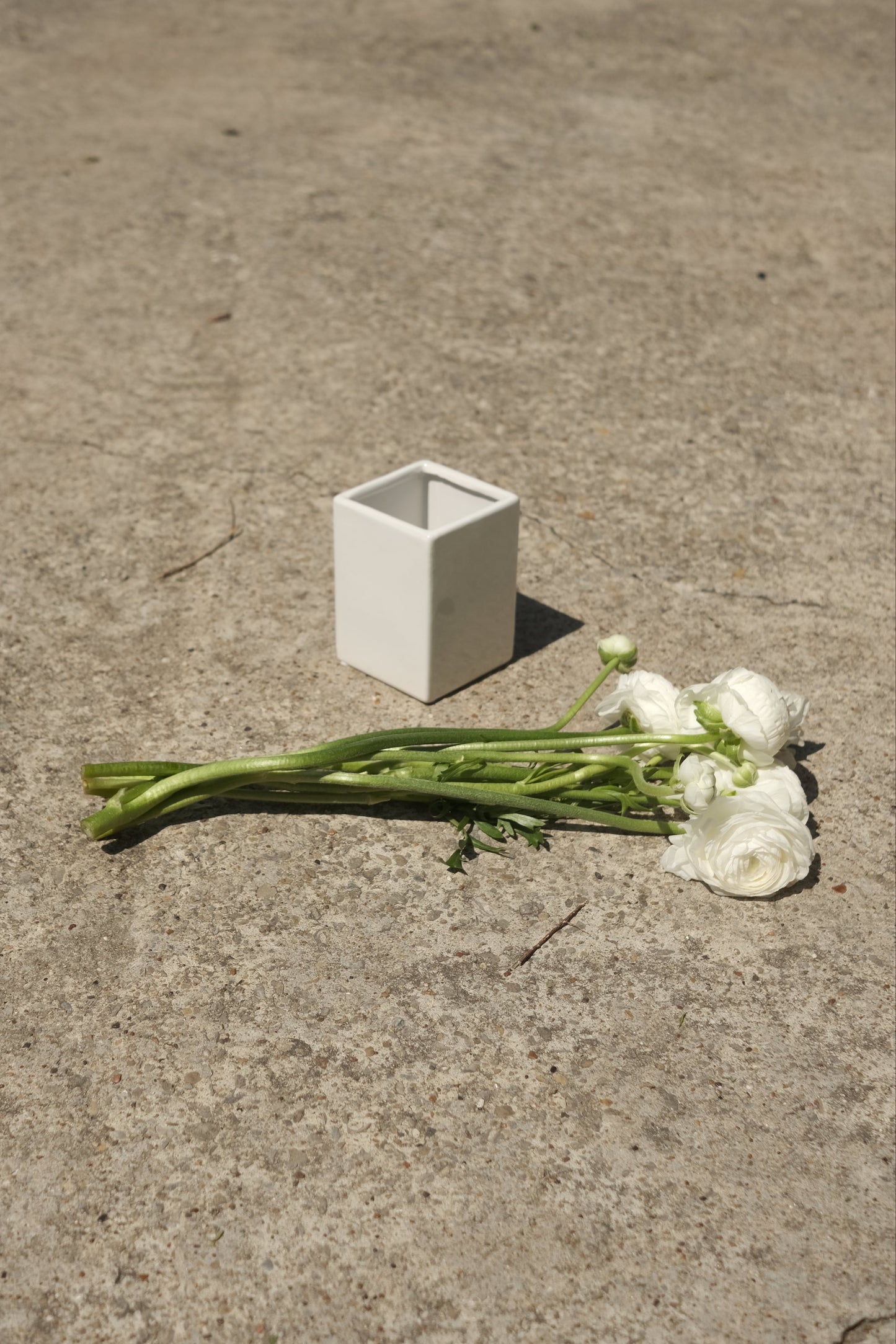 vase